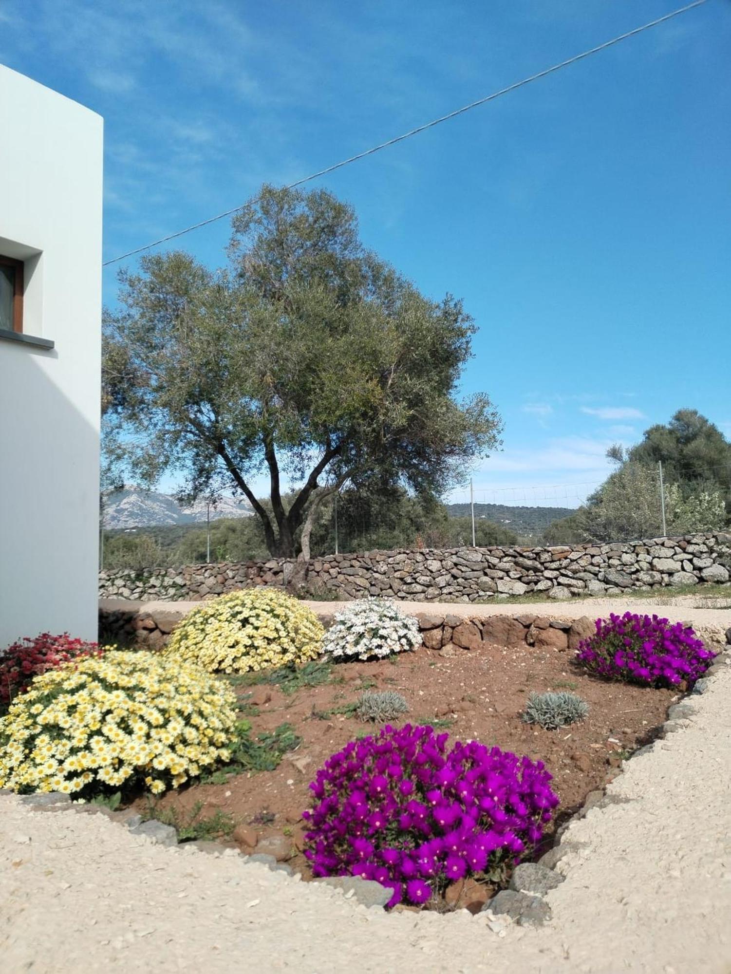 Farmhouse La Croisette - Agriturismo Dorgali Exterior foto